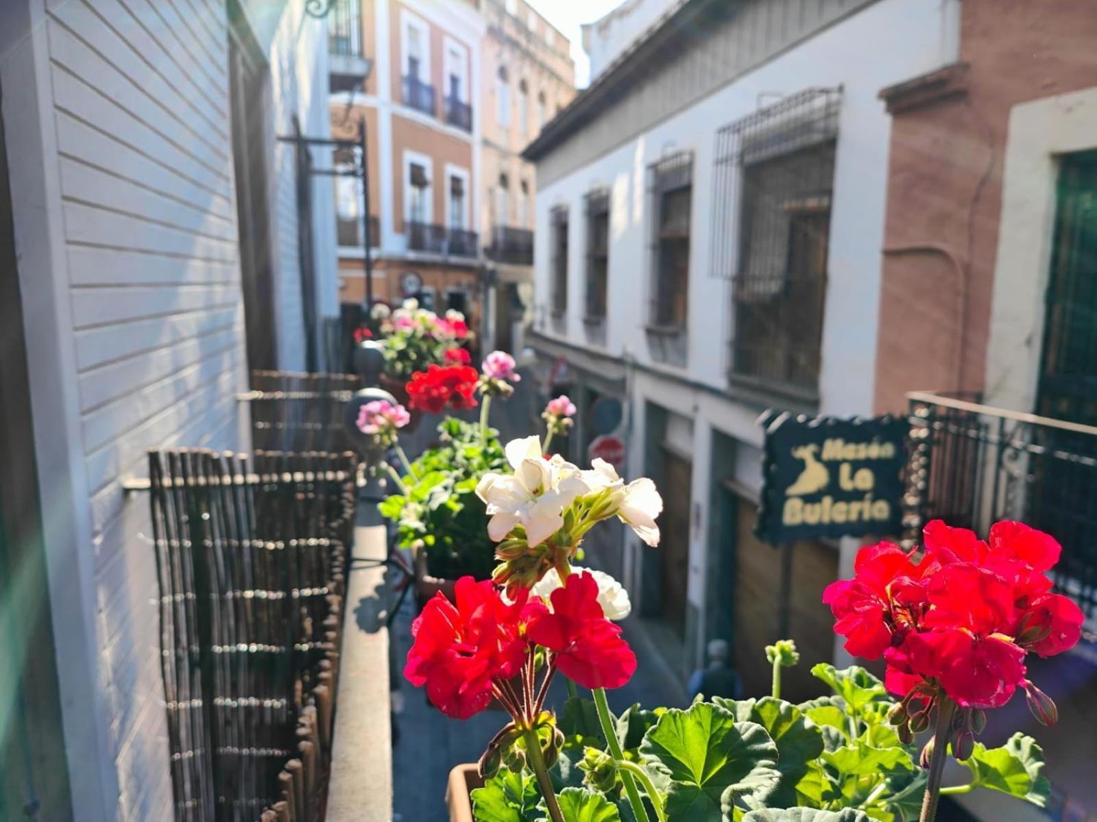 Balcon Del Templo Romano コルドバ エクステリア 写真